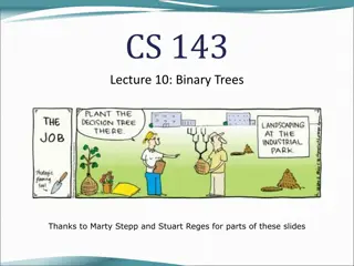 Binary Trees in Computer Science