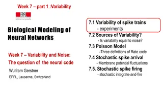 Exploring Variability and Noise in Neural Networks