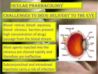 Challenges and Strategies in Ocular Drug Delivery