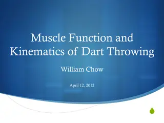 Muscle Function and Kinematics of Dart Throwing Analysis