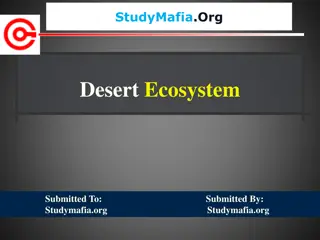 The Characteristics of Desert Ecosystems