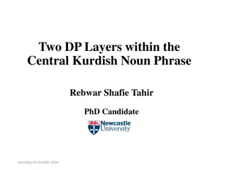 Definiteness in Central Kurdish Noun Phrases