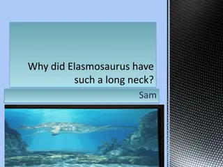 Why did Elasmosaurus Have Such a Long Neck?