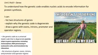 Genes and the Genetic Code for Protein Synthesis