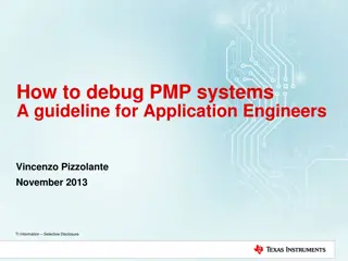 Debugging PMP Systems: A Guideline for Application Engineers