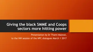 Empowering Black SMMEs and Coops for Economic Growth