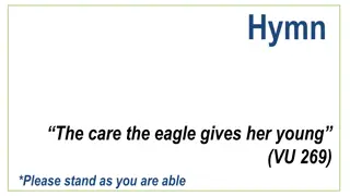 The Care of the Eagle - Hymn Reflection