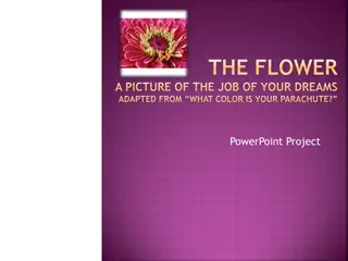 Discover Your Dream Job with the Flower Diagram