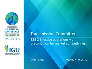 Transmission Committee TSG-2 Effective Operations & Market Competitiveness Conference