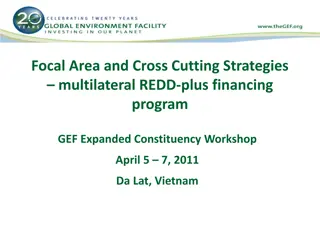 GEF Forest Investments and Sustainability Strategies