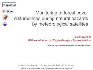 Monitoring Forest Cover Disturbances During Natural Hazards by Meteorological Satellites