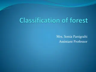 Understanding Forest Classification and Management