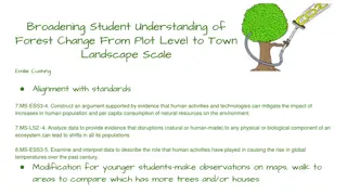 Exploring Forest Change Impact on Carbon Storage