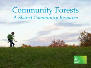 Community Forests: A Shared Community Resource