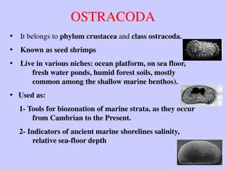 Overview of Ostracoda: Seed Shrimps of the Crustacean World