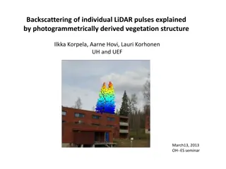 LiDAR Backscattering and Vegetation Structure Analysis