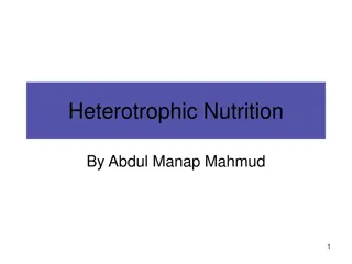 Heterotrophic Nutrition in Organisms