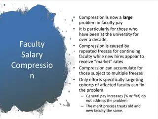 Faculty Pay Compression: Challenges and Solutions