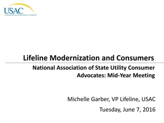 Lifeline Modernization & Consumers National Association Mid-Year Meeting Highlights