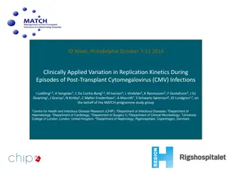 Replication Kinetics in Post-Transplant CMV Infections