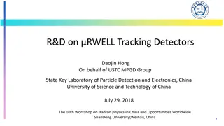 Advancements in RWELL Tracking Detectors for Particle Detection