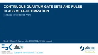 Optimizing Continuous Quantum Control with Variable Parameters