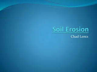 Soil Erosion: Causes, Types, and Prevention