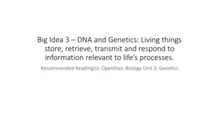 DNA and Genetics: A Comprehensive Overview