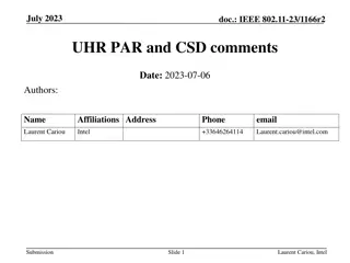 IEEE 802.11-23 UHR PAR and CSD Comments Review