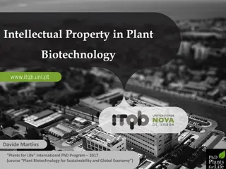 Intellectual Property in Plant Biotechnology: Importance, Protection, and Implications