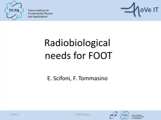 Advancements in Biological Treatment Planning for Ion Beams