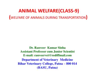 Animal Welfare During Transportation - Guidelines and Regulations