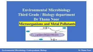 The Role of Microorganisms in Mitigating Heavy Metal Pollution