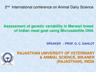 Overview of Genetic Variability in Marwari Breed of Indian Meat Goat