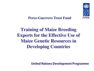 Enhancing Maize Breeding Expertise in Developing Countries - DPRK Training Project