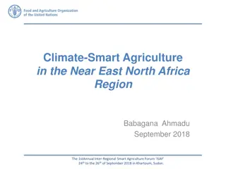 Challenges and Vulnerabilities of Climate-Smart Agriculture in the Near East North Africa Region