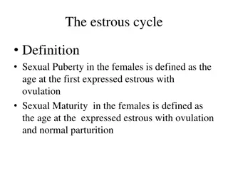 The Estrous Cycle in Female Animals