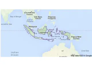 Study on Using MLIL Model to Replace RIL for Studying Bacterial Diarrhea