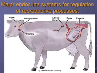 Endocrine Systems in Reproductive Regulation