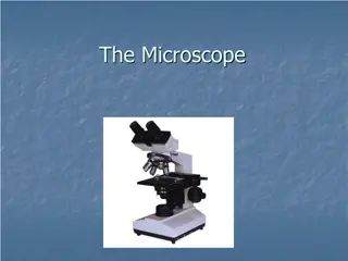 The Microscope: Parts, Functions, and Usage