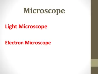 Microscopes: Light vs. Electron Microscopes