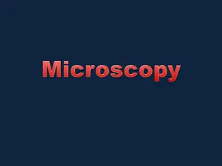 Microscopes: A Comprehensive Guide