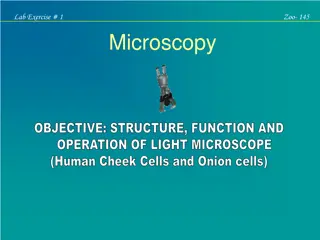 Introduction to Light Microscopy: Structure, Function, and Operation