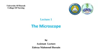 The Microscope in Nursing Education