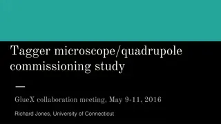 Tagger Microscope Quadrupole Commissioning Study Overview