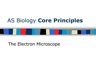 Exploring Microscopy: Light vs Electron Microscopes