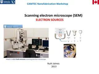 Scanning Electron Microscopes (SEM) and Electron Sources