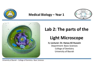 Exploring the Components of a Light Microscope in Basic Sciences at University of Basrah College of Dentistry