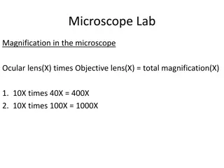 Microscope Lab - Understanding Magnification, Field of View, and Object Size