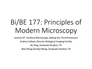 Confocal Microscopy: Adding the Third Dimension